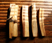 sticks of palo santo 